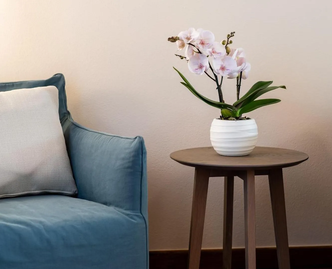Aura Dimore Ad Arqua Petrarca Bed & Breakfast