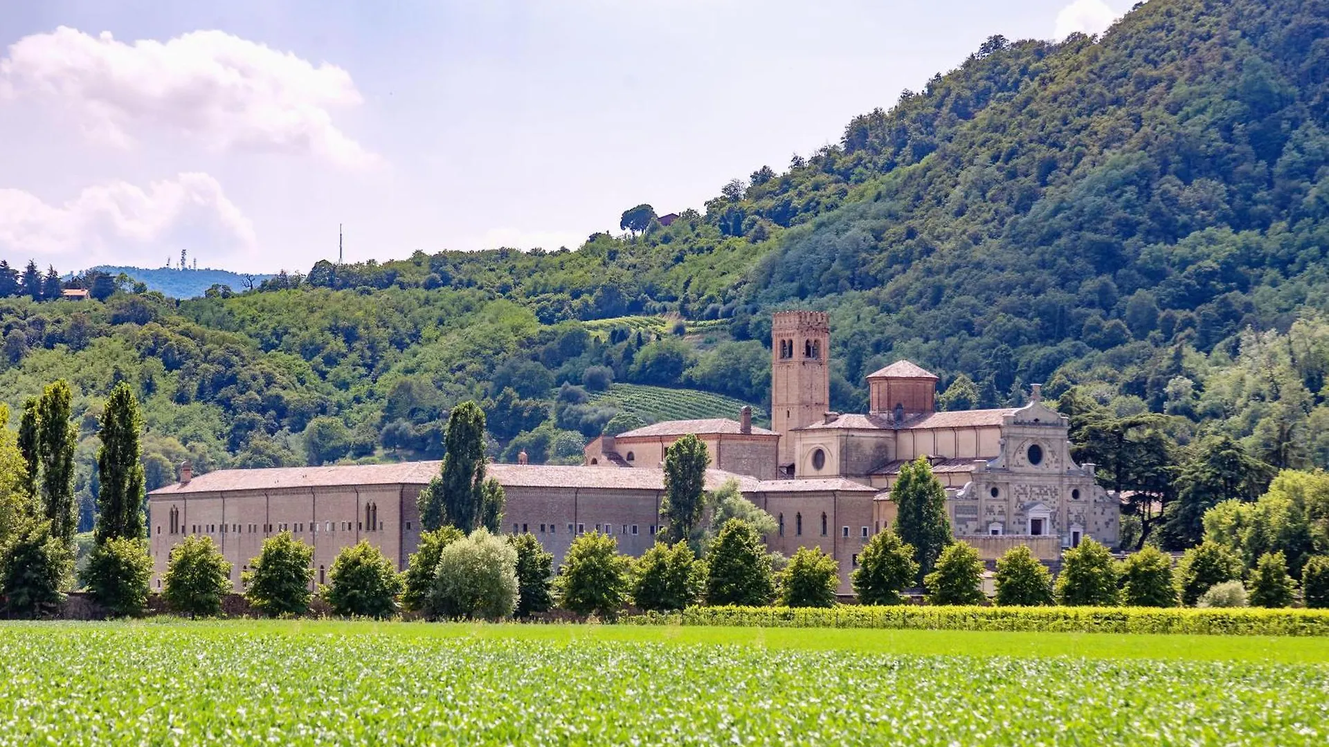 Bed & Breakfast Aura Dimore Ad Arqua Petrarca Italy